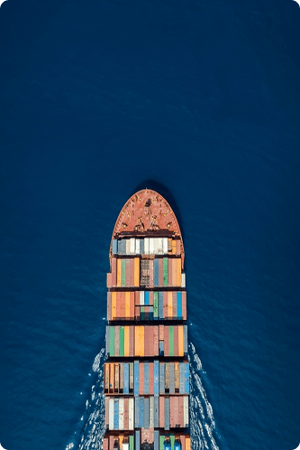 Export Documentation